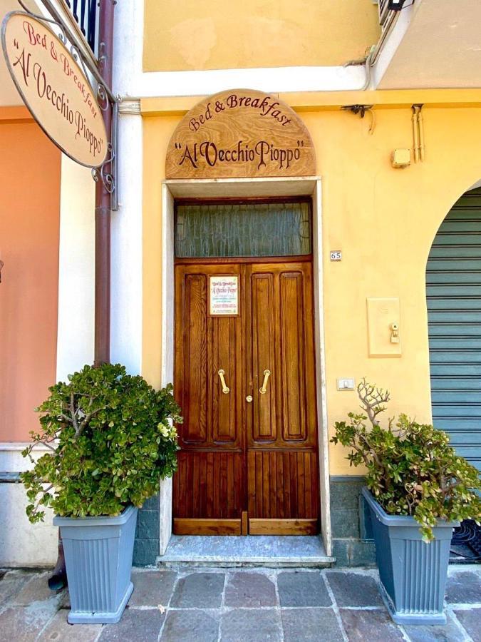 Al Vecchio Pioppo Acomodação com café da manhã Praia a Mare Exterior foto